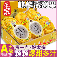 粤迎 麒麟燕窝果黄皮火龙果广西新鲜热带水果送礼 3斤精选装净3斤