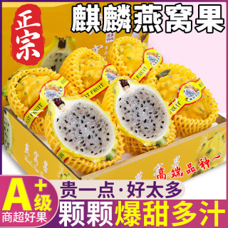 粤迎 麒麟燕窝果黄皮火龙果广西新鲜热带水果送礼 3斤精选装净3斤