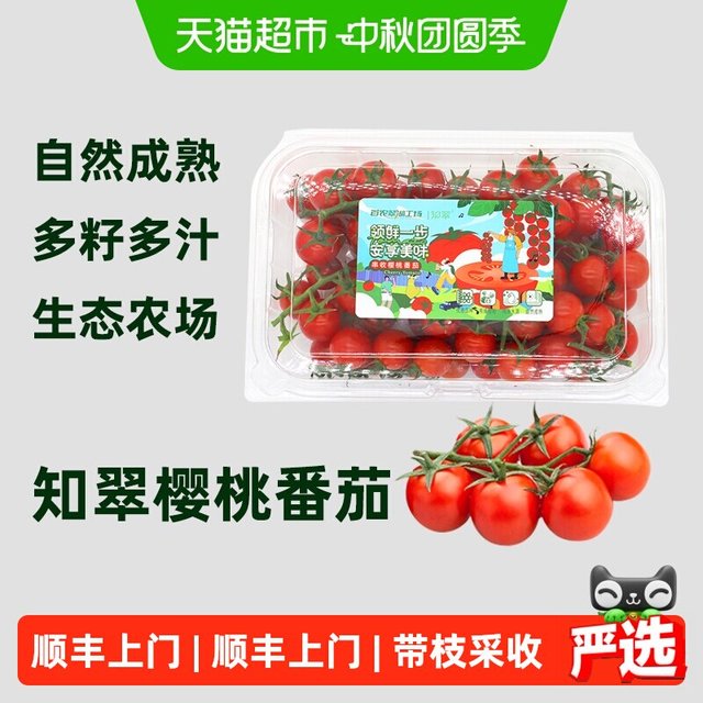 88VIP：知翠 顺丰上门樱桃小番茄生吃小西红柿新鲜水果现摘应季小柿子