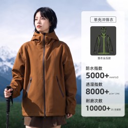 新款户外运动冲锋衣三合一内胆硬壳登山服压胶三防水风衣外套男女