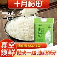 百亿补贴：十月稻田 香粘米5kg软糯香甜籼米南方大米长粒香真空