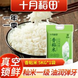 十月稻田 香粘米5kg软糯香甜籼米南方大米长粒香真空