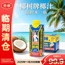椰树 椰子汁椰奶果饮料中秋送礼新鲜椰肉鲜榨聚会畅饮  500ml*15瓶