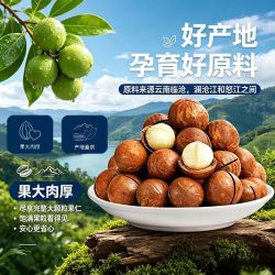 滇食部落 夏威夷果500g罐装孕妇坚果干果仁零食原味新货袋装大颗粒独立国货
