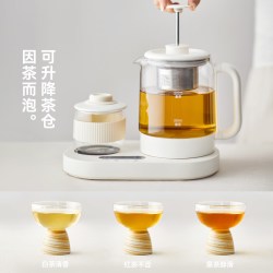 欧莱克 立时迷你养生壶杯小型办公室萃茶器多功能玻璃烧水煮花茶壶