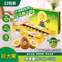佳沛 阳光金果 奇异果 巨大果 单果146-174g 22个