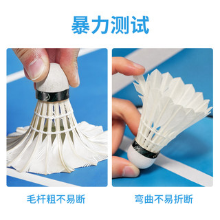 亚狮龙 Century 鹅毛 77速 12只装 羽毛球