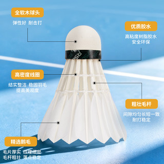 亚狮龙 Century 鹅毛 77速 12只装 羽毛球