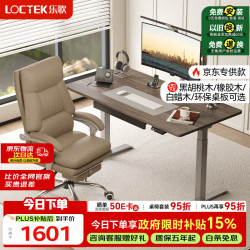 乐歌 电动升降桌电脑桌双电机站立办公家用书桌 E3/1.2m灰胡桃木色套装