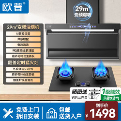 欧普照明 欧普抽油烟机直流变频大吸力 家用一级能效AG脱排烟机净烟机顶侧双吸AI语音