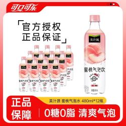 可口可乐 美汁源蜜桃气泡水480ml