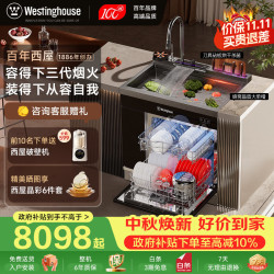 西屋电气 西屋集成水槽洗碗机气爆洗超声波果蔬清洗家用双层嵌入式碗柜14套洗碗机一体机 JCX-E8L 800m