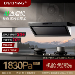 DAVID YANG大卫·杨 ·杨三风机AI油烟机Y2系列顶侧双吸免拆洗