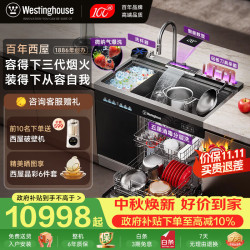 西屋电气 西屋集成水槽洗碗机气爆洗超声波果蔬清洗家用双层嵌入式碗柜14套洗碗机一体机 JCX-E8LMAX-1