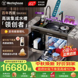 西屋电气 西屋集成水槽洗碗机超声波果蔬清洗家用双层上下分层洗嵌入式碗柜14套洗碗机一体机 JCX-S9L PL