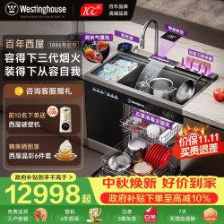 西屋电气 西屋集成水槽洗碗机气爆洗超声波果蔬清洗家用双层嵌入式碗柜14套洗碗机一体机 JCX-E8LMAX-1