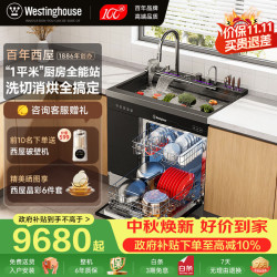 西屋电气 西屋集成水槽洗碗机超声波果蔬清洗家用双层上下分层洗嵌入式碗柜14套洗碗机一体机 JCX-S9L 旗舰