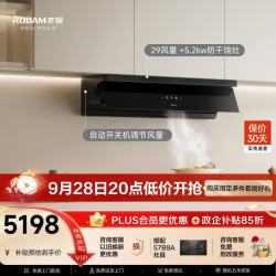 老板 齐平橱柜抽吸排油烟机30风量免拆洗换新齐平橱柜油烟机炉灶套