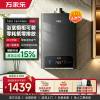 万家乐 13L强排式即热恒温水伺服智能控制静音燃气热水器天然气家用室内安装平衡机P5R1