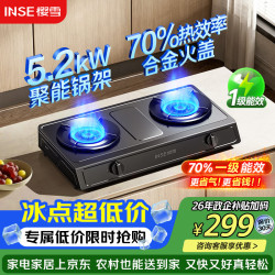 樱雪 燃气灶双灶台 5.0KW猛火煤气灶双灶 70热效率一级能效 JZY-261T2P液化气