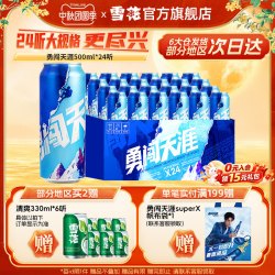 雪花 BEER 雪花 SNOWBEER BEER BEER 勇闯天涯 啤酒 500ml*24听