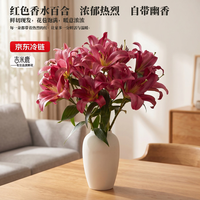 吉米鹿 香水百合花鲜花A级3-4枝云南基地鲜切花束源头直发