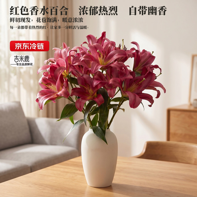 PLUS会员：吉米鹿 香水百合花鲜花A级3-4枝云南基地鲜切花束源头直发