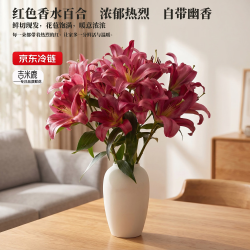 吉米鹿 香水百合花鲜花A级3-4枝云南基地鲜切花束源头直发