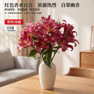 PLUS会员：吉米鹿 香水百合花鲜花A级3-4枝云南基地鲜切花束源头直发