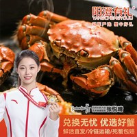 阳澄有礼 大闸蟹(公2.5两母2.0两)4对8只