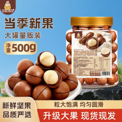 真响嗑 夏威夷果 奶油味酥脆带壳坚果 500克/罐