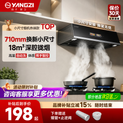 扬子 中式顶吸式抽油烟机家用大吸力厨房老式小尺寸油烟机出租房烟机 圆锥滤网-自行安装