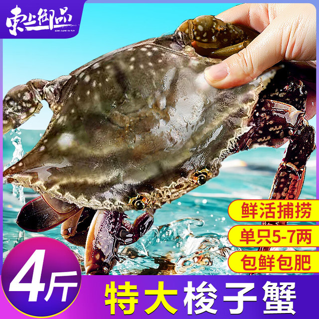 今日必买：东上御品 舟山梭子蟹 5-7两/只 4斤装