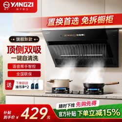 扬子 侧吸式抽油烟机家用厨房大吸力吸油烟机脱排顶侧双吸烟机 基础款900宽机械四键L209-自行安装