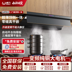威力 油烟机顶侧一体超薄自清洗静音一级能效大吸力变频抽油烟机 直流变频-小飞碟T12