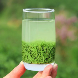 谭河信阳毛尖2026新茶谷雨前芽叶浓香耐泡茶叶口粮茶高山炒青绿茶