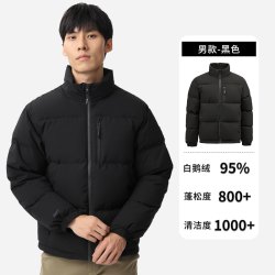 君羽 800蓬95白鹅绒羽绒服男士短款冬季加厚保暖立领羽绒服