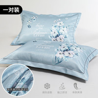 家用夏季夏天凉席枕席大人可机洗 触肤即凉，透气爽肤 一对 48cm*74cm 枕套