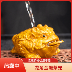 创意个性龙角金蟾变色茶宠摆件高档小号蟾蜍手工家居好物可爱茶玩