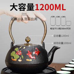唐丰 茶具铸铁铁壶煮茶器泡茶壶煮茶单壶大容量烧水壶家用围炉煮茶