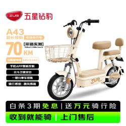 五星钻豹 长续航 电动自行车 燕麦棕