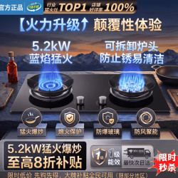 Master Kitchen 美的2026新款高端一级能耗猛火高热效率 单九腔双灶+熄保童锁+钢化玻璃 (赠防风聚火炉架)