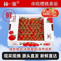 京鲜生 串收小番茄新品玲珑串 净重1kg