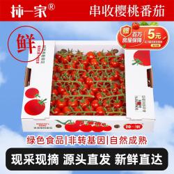 京鲜生 串收小番茄新品玲珑串 净重1kg