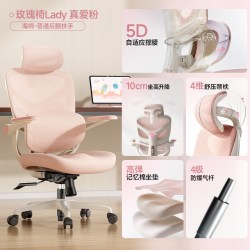 爱果乐 人体工学椅玫瑰椅女生电脑椅家用办公椅子舒适久坐电竞座椅