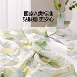 LOVO A类抗菌可机洗夏被 沐夏 150*215cm
