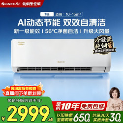 格力 云锦Pro系列 KFR-26GW/NhMb1BG 新一级能效 壁挂式空调 大1匹