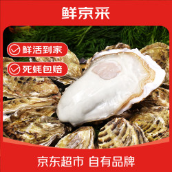 鲜京采 生蚝 5XL 9-12只 净重5斤