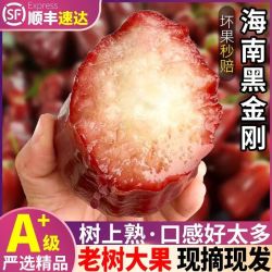 海南黑金刚  莲雾中果60g+净重2斤