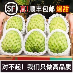凤梨释迦  净重2501g 单果7-9两（特选·超大果）